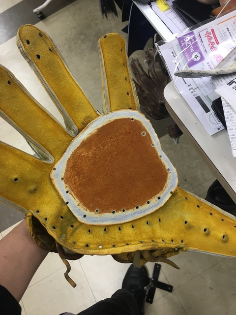 image1.jpeg