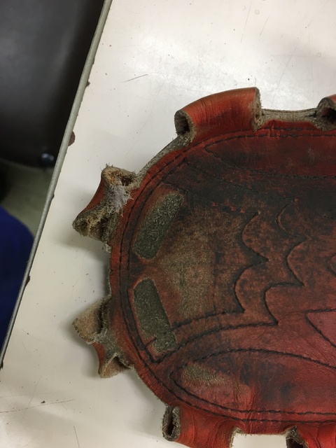 image1 (2).jpeg
