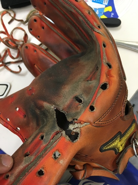 image1 (3).jpeg